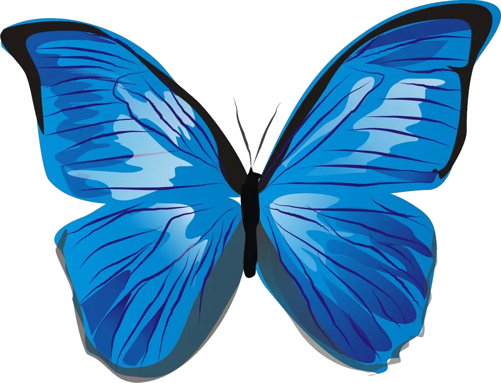 Blue butterfly PNG image