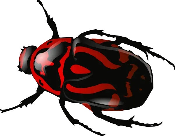 red insect bug PNG image