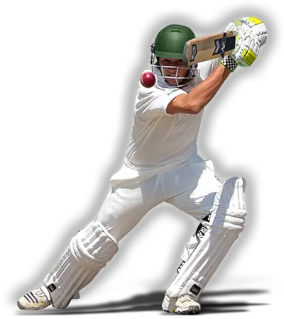 Cricket player PNG