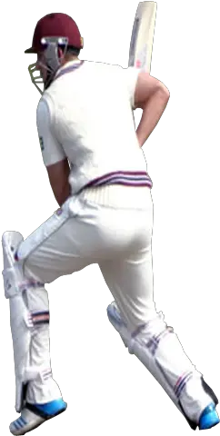 Cricket player PNG