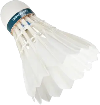 Badminton volant PNG image