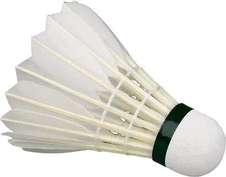 Badminton volant PNG image