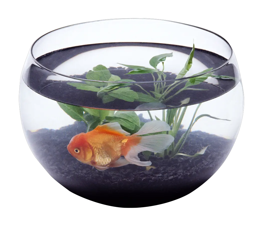 Aquarium PNG