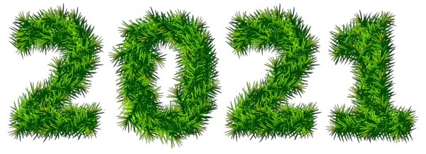 2021 year PNG