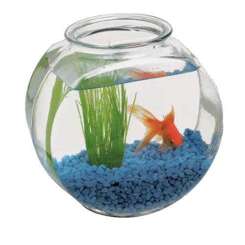 Aquarium PNG