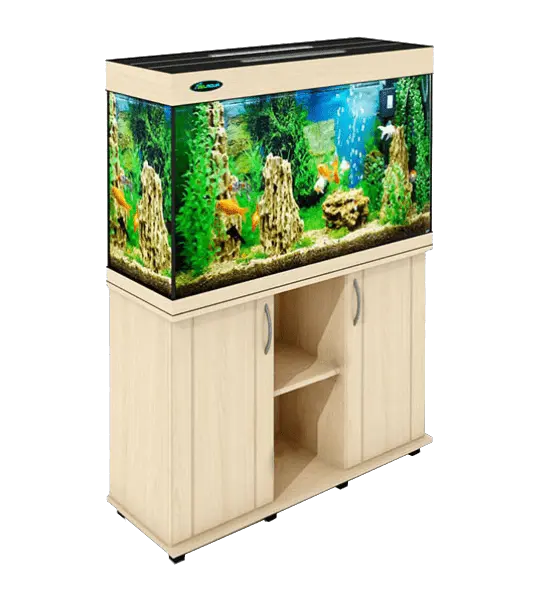 Aquarium PNG