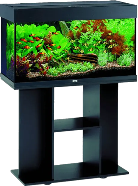 Aquarium PNG
