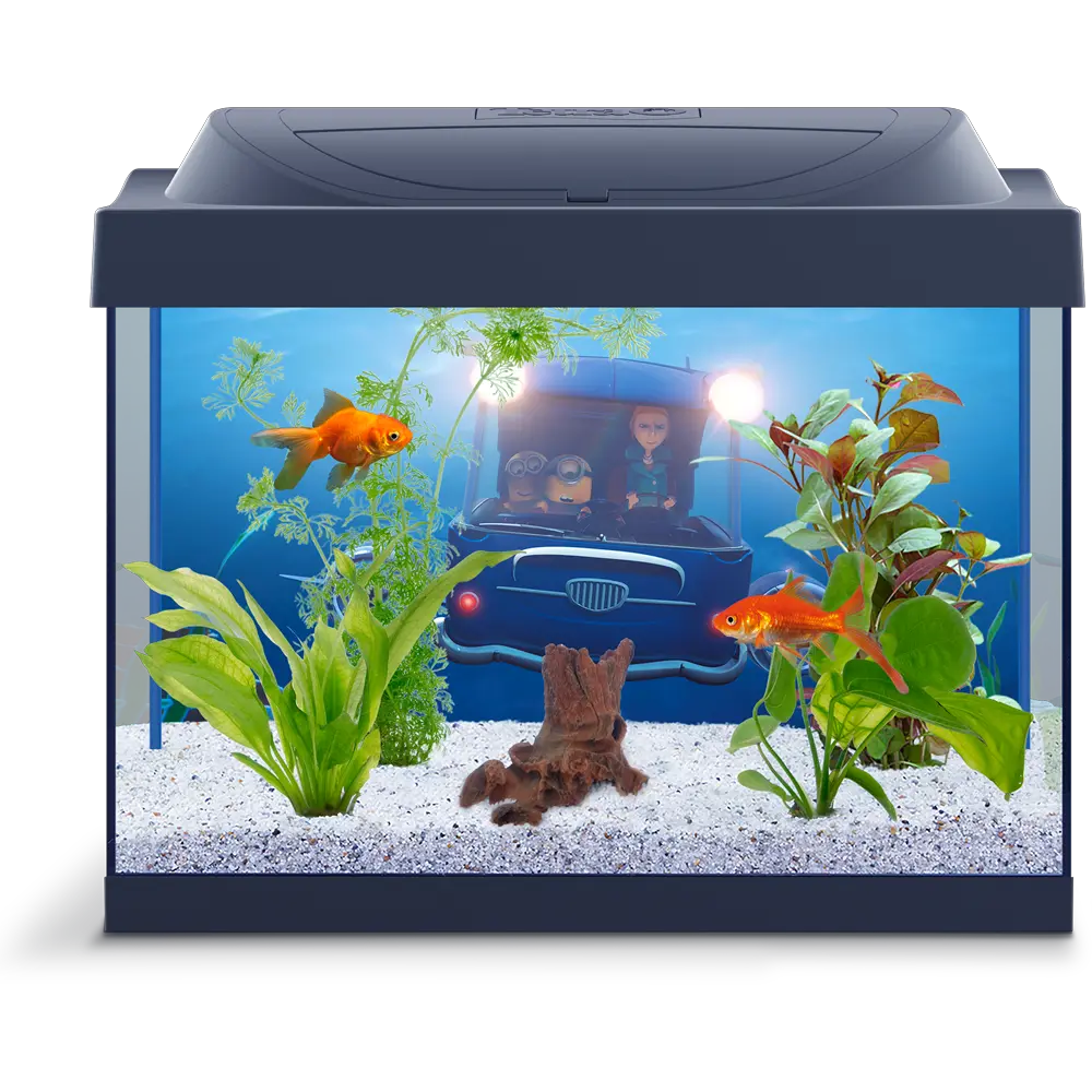 Aquarium PNG
