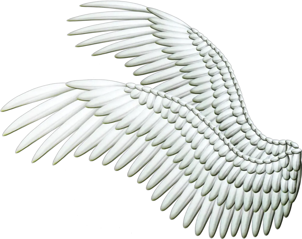 Wings PNG