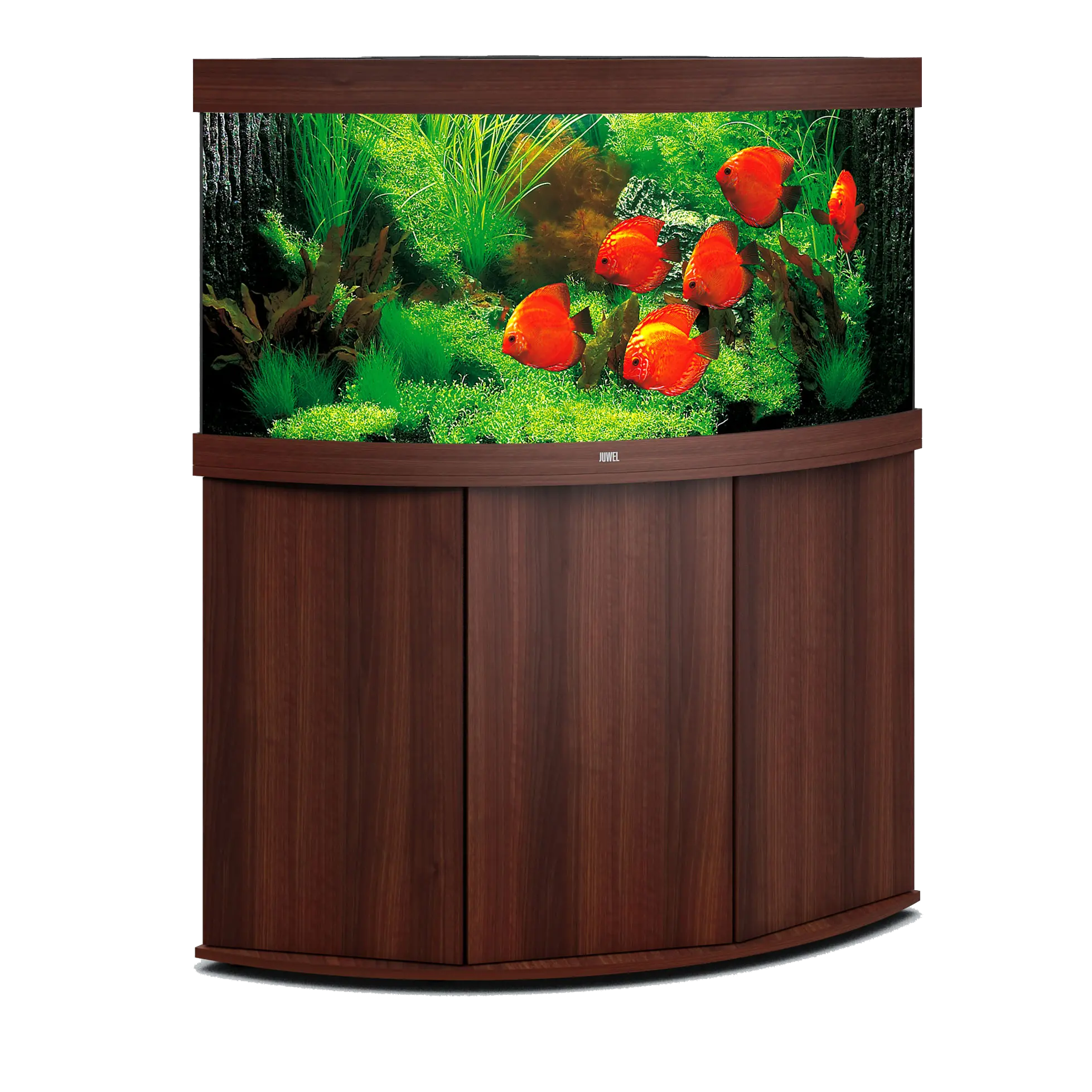 Aquarium PNG