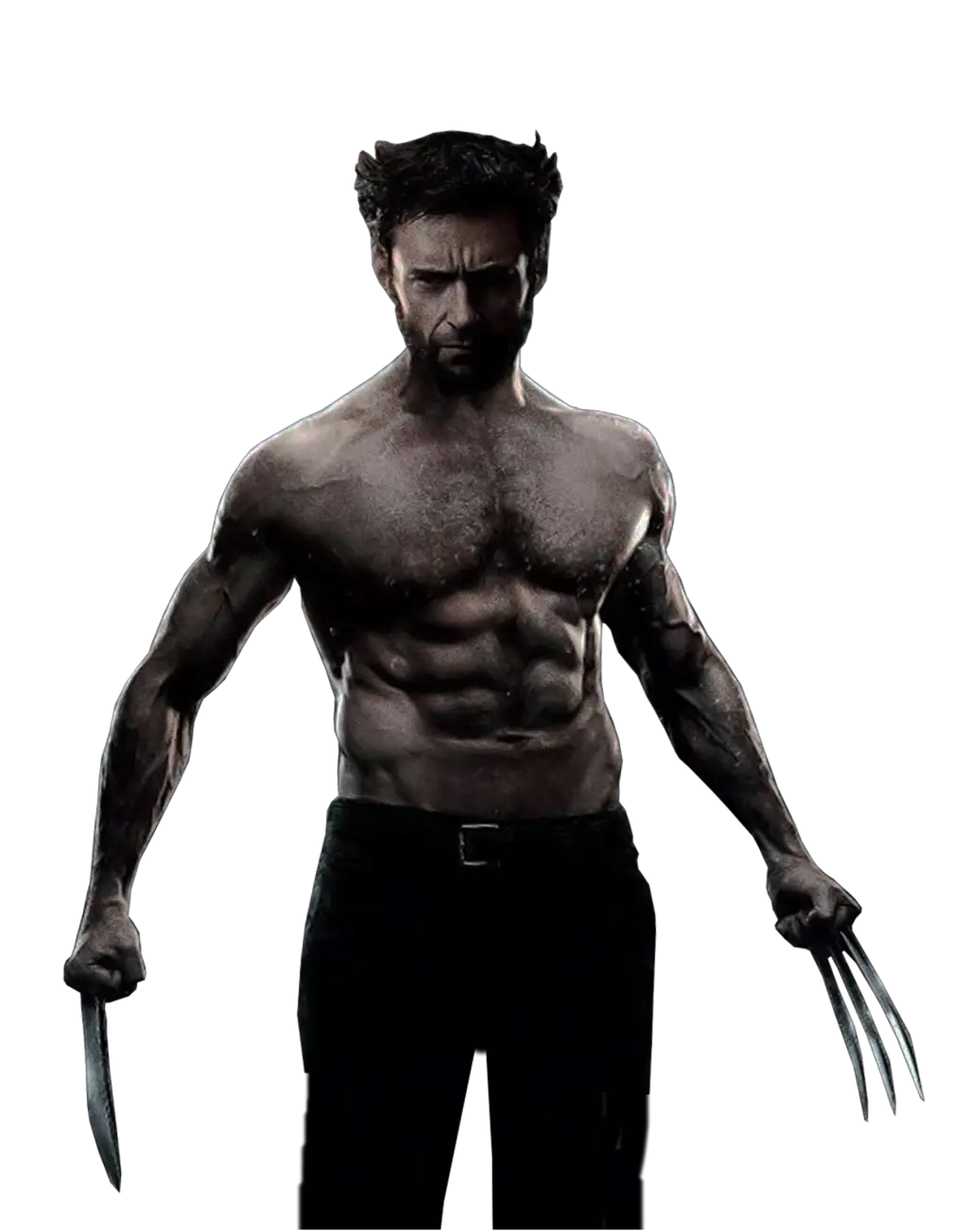 Wolverine PNG