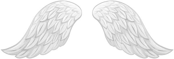 Wings PNG