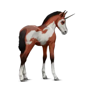 Unicorn PNG