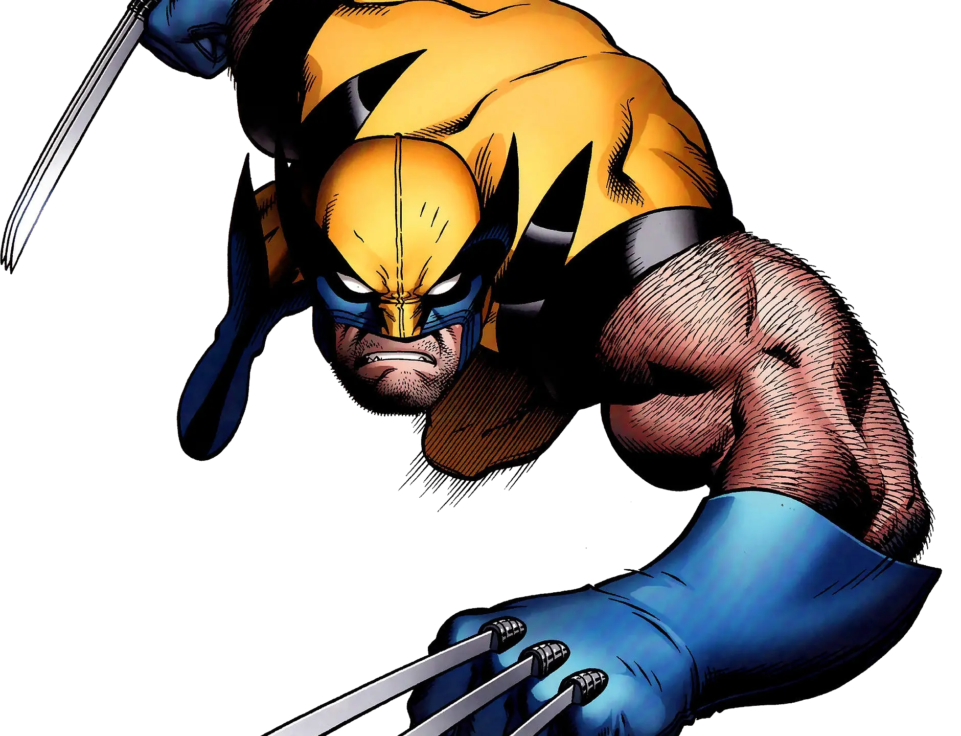 Wolverine PNG