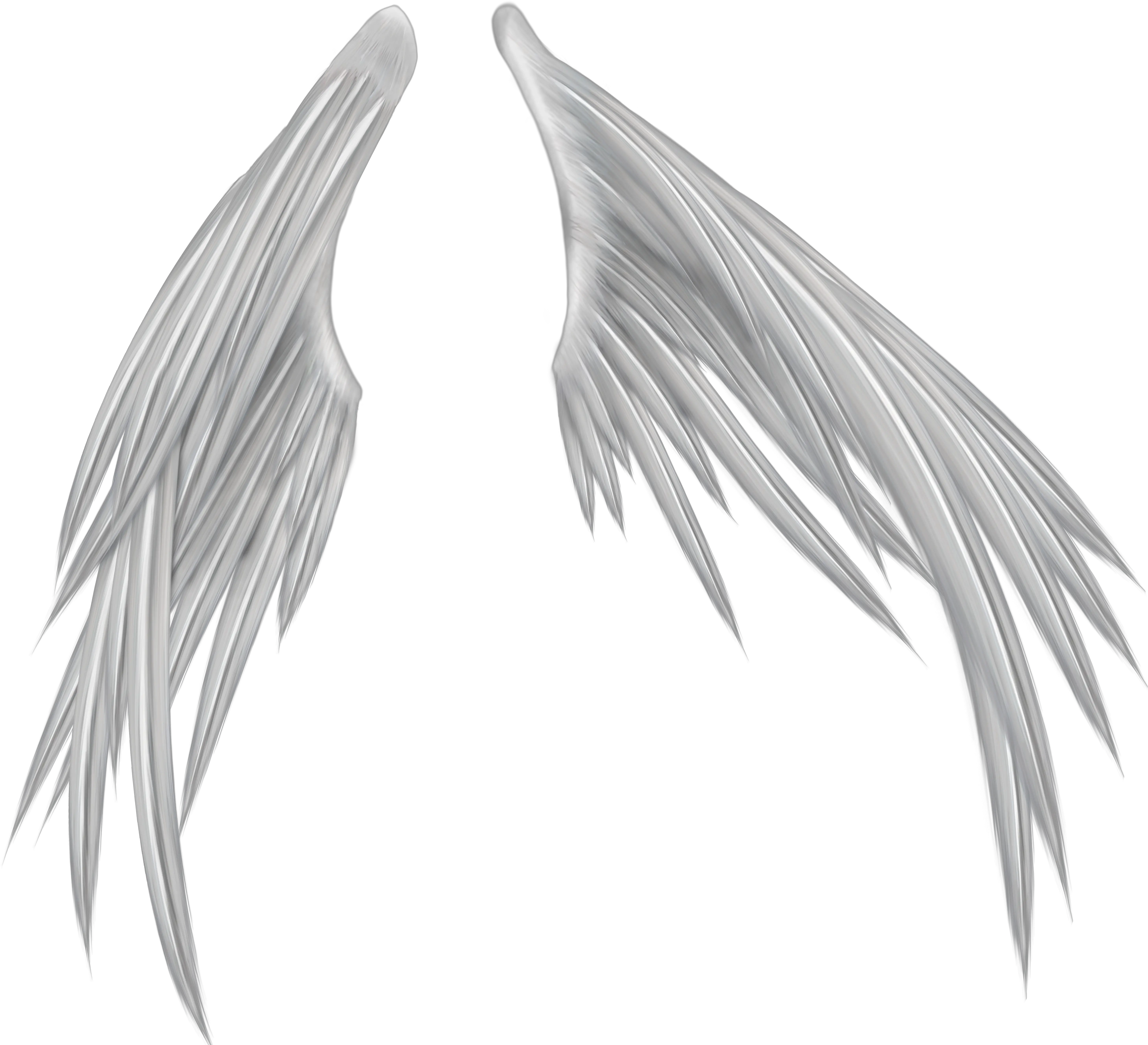 Wings PNG