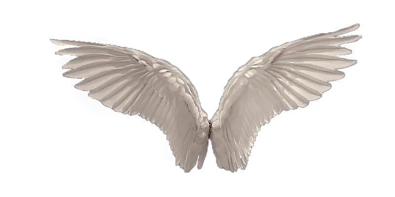 Wings PNG