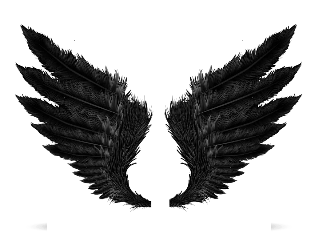 Black evil wings PNG