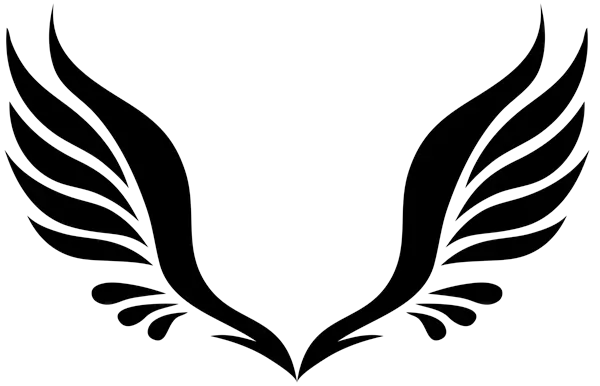 Wings PNG