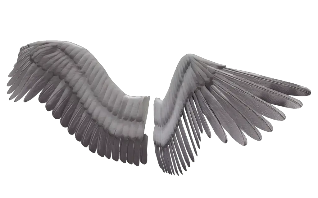 Wings PNG