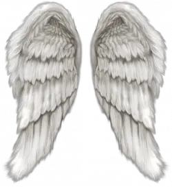 White angel wings PNG