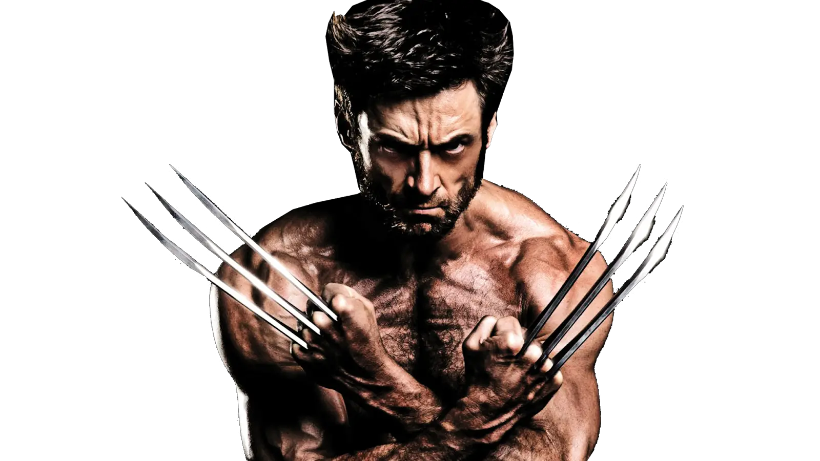 Wolverine PNG