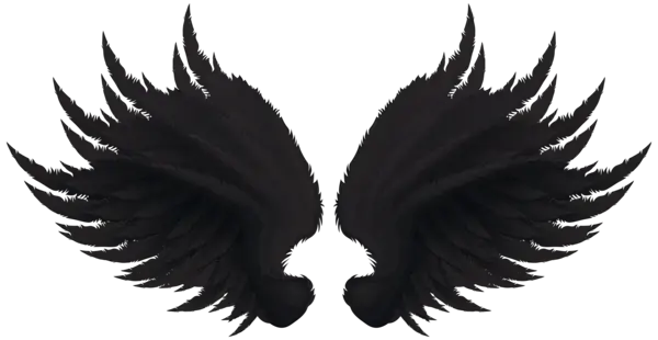 Wings PNG
