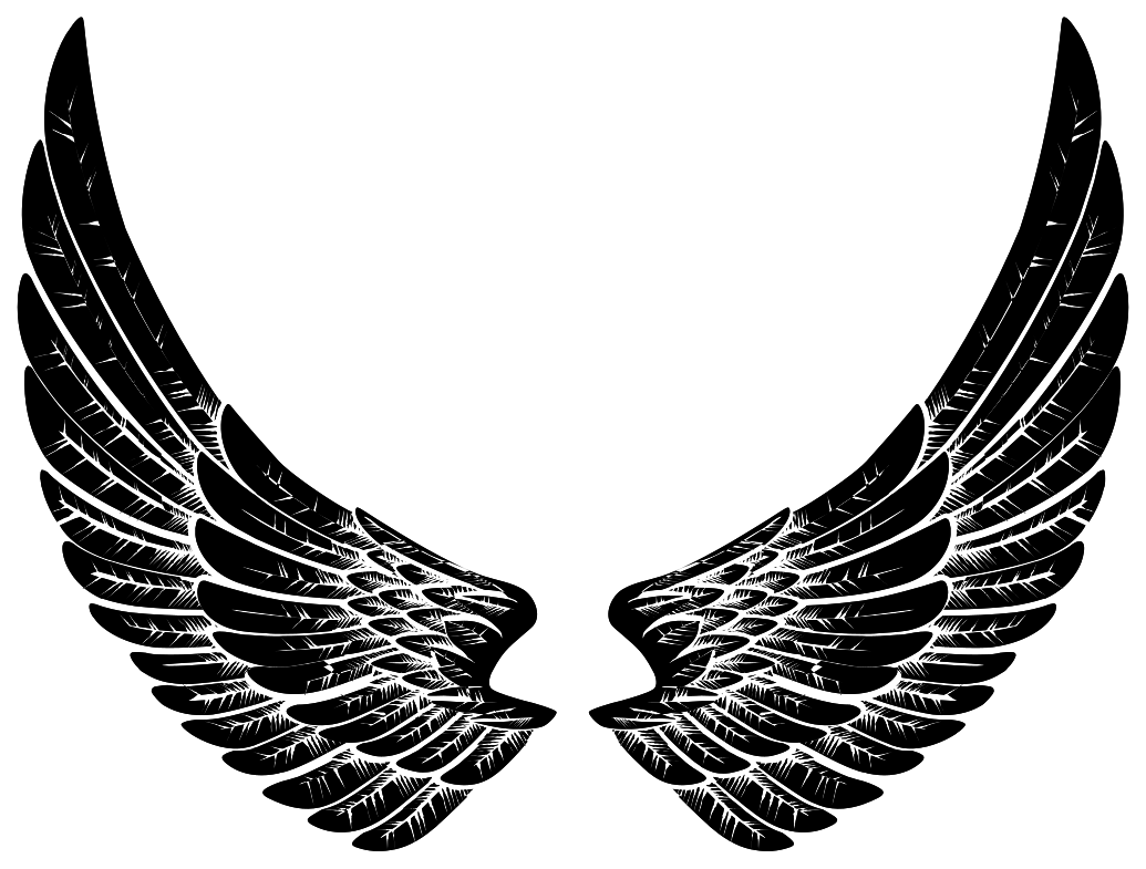 Wings PNG