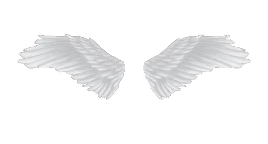White angel wings PNG