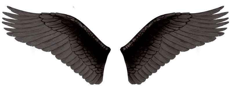 Black evil wings PNG