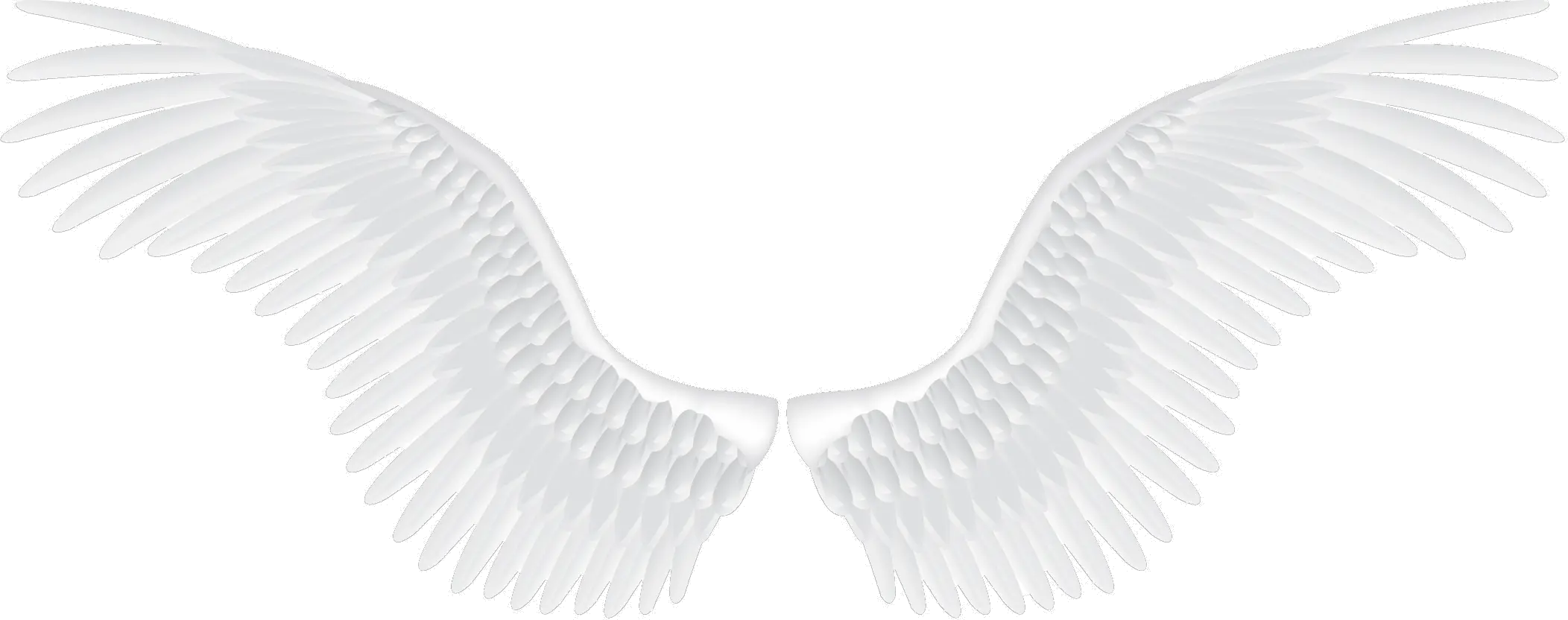White angel wings PNG
