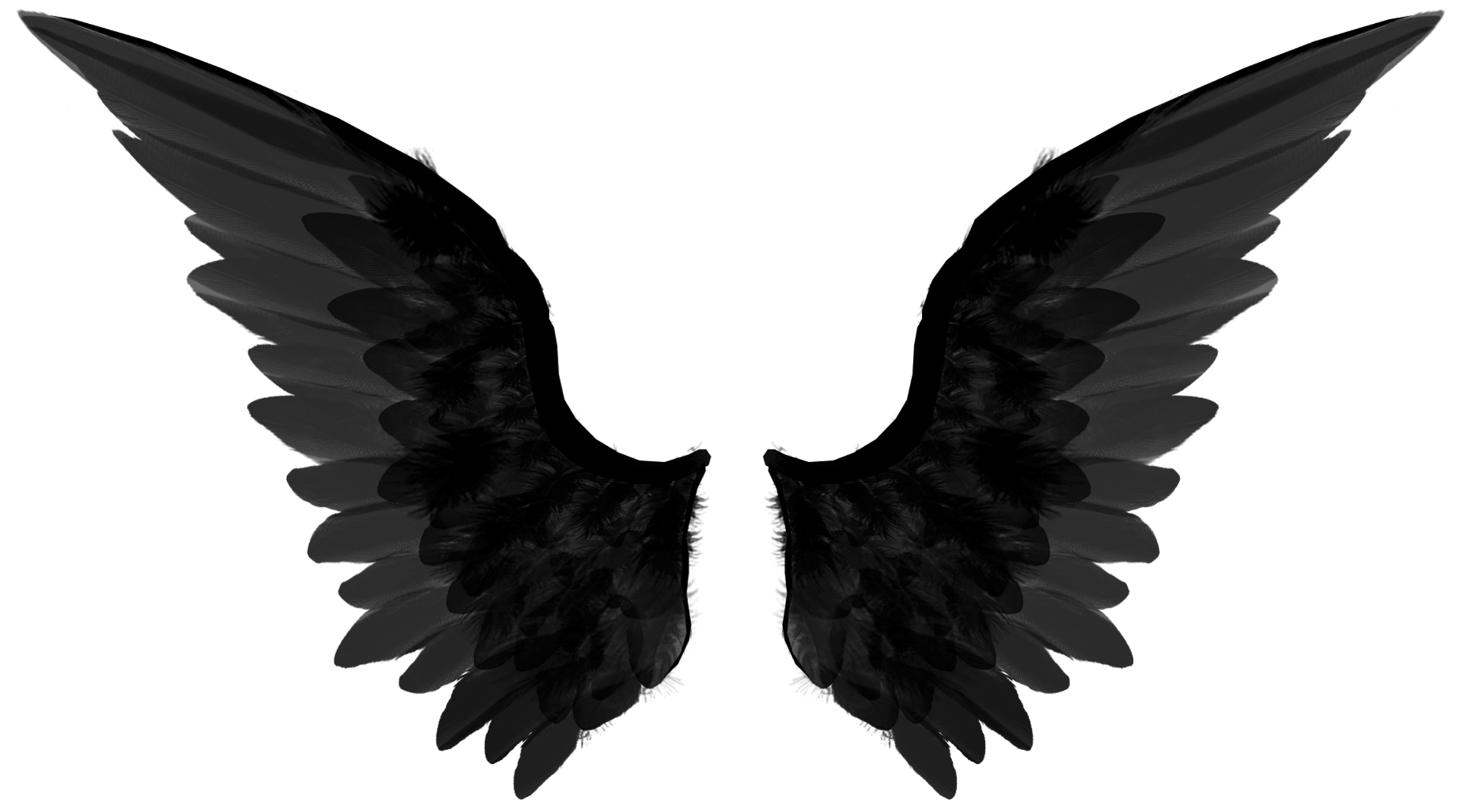 Black wings PNG