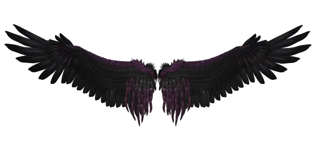 Black wings PNG