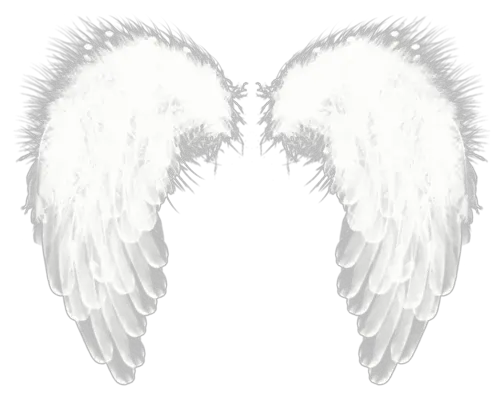 White wings PNG