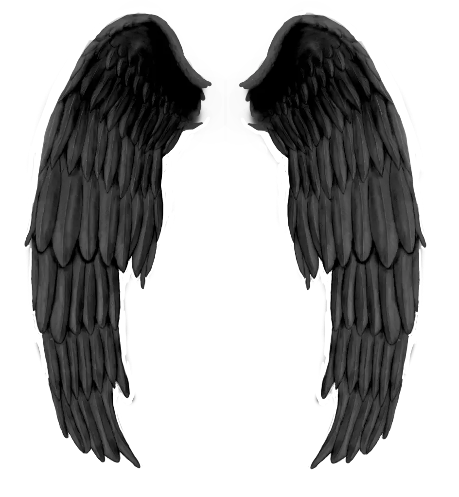 Black evil wings PNG