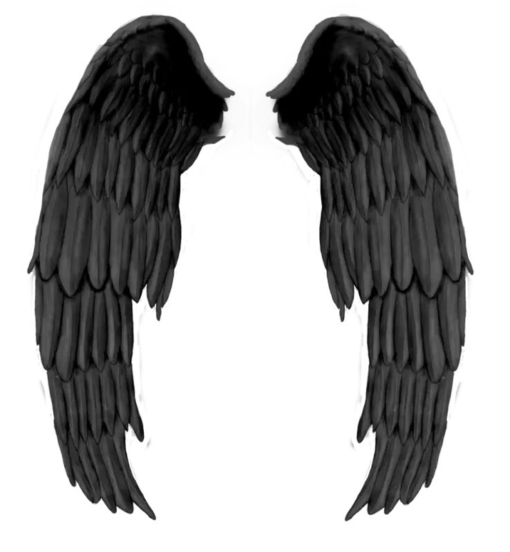 Black evil wings PNG