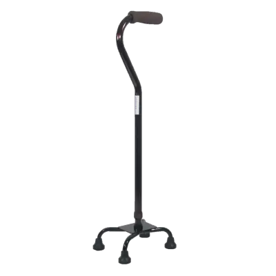 Walking stick PNG