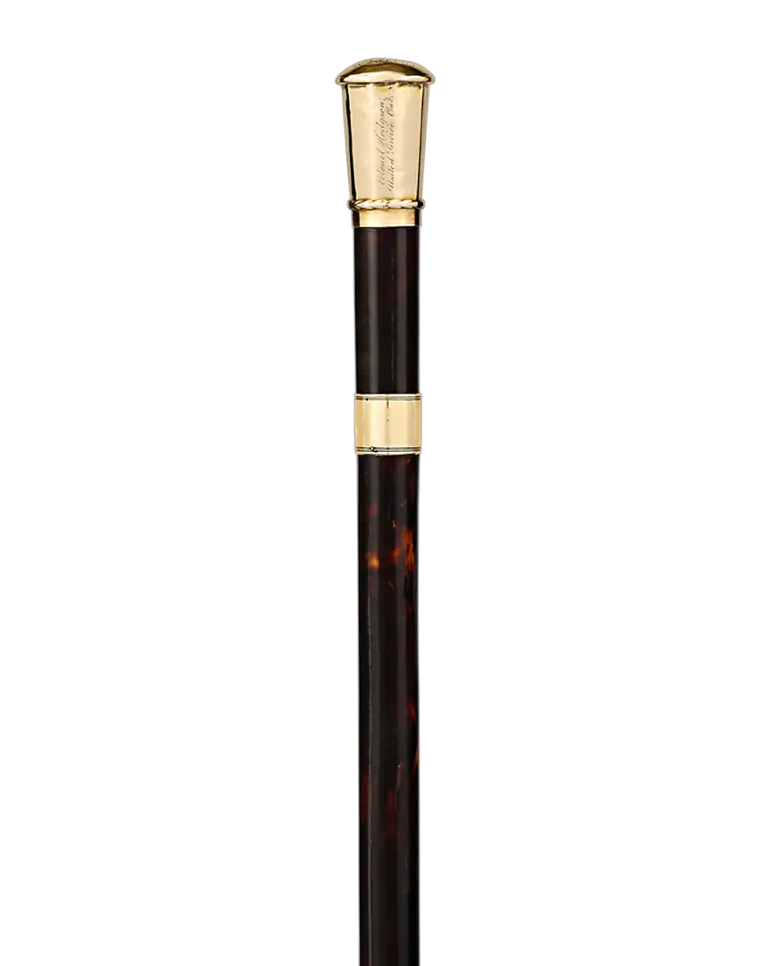 Walking stick PNG