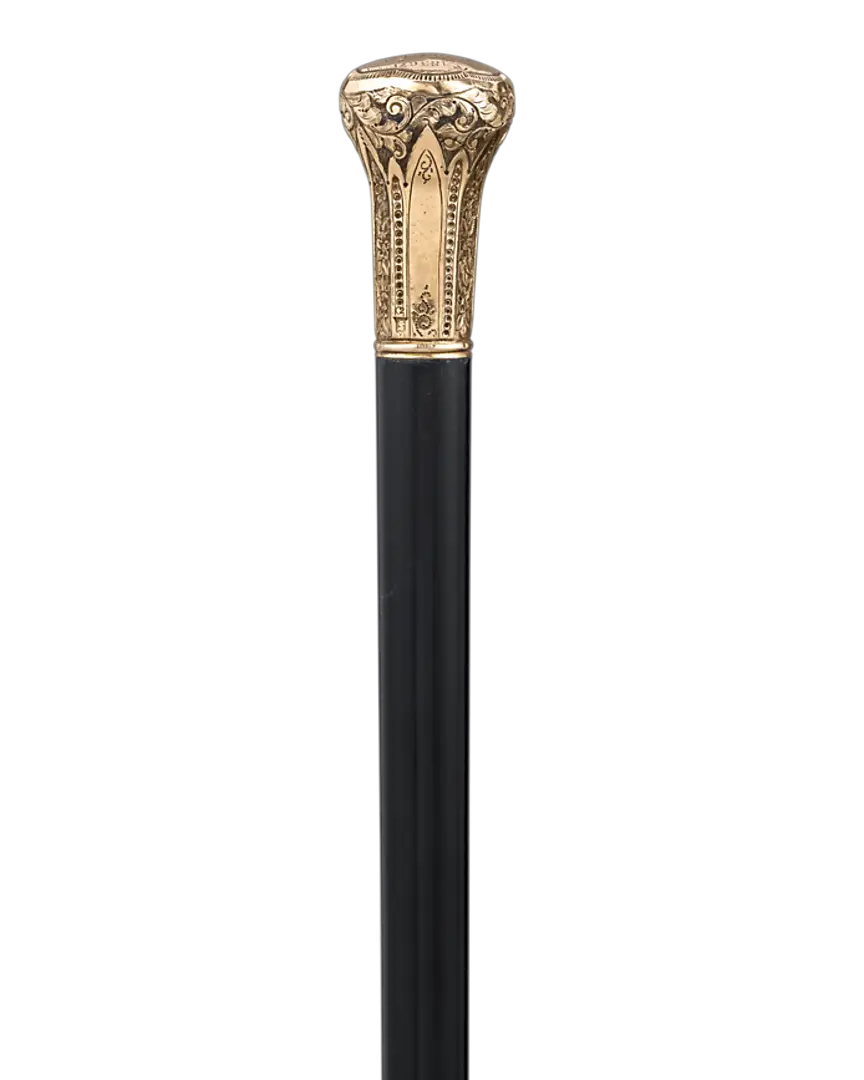 Walking stick PNG