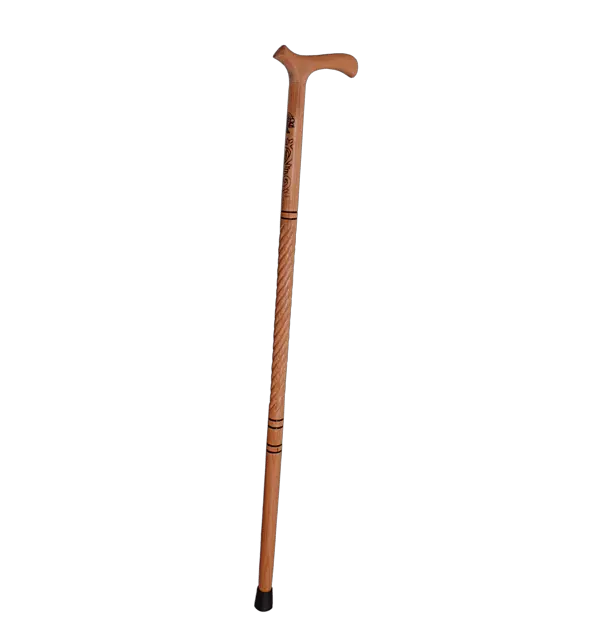 Walking stick PNG