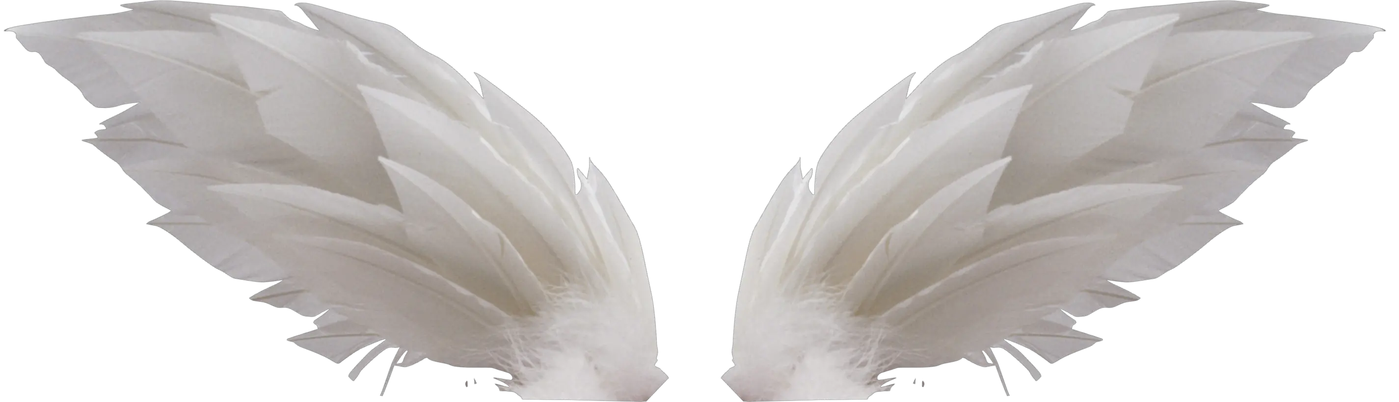 White wings PNG