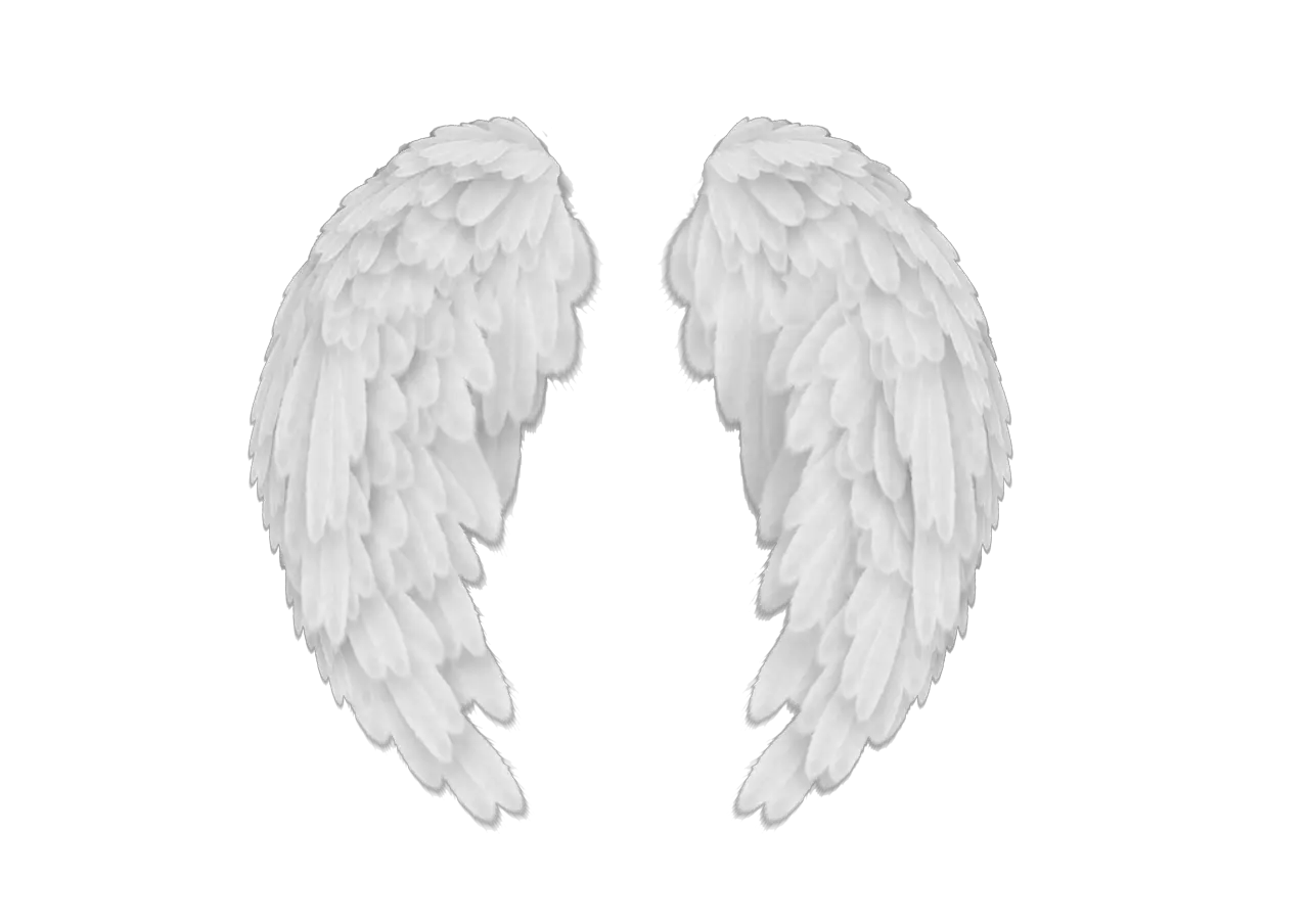 White angel wings PNG