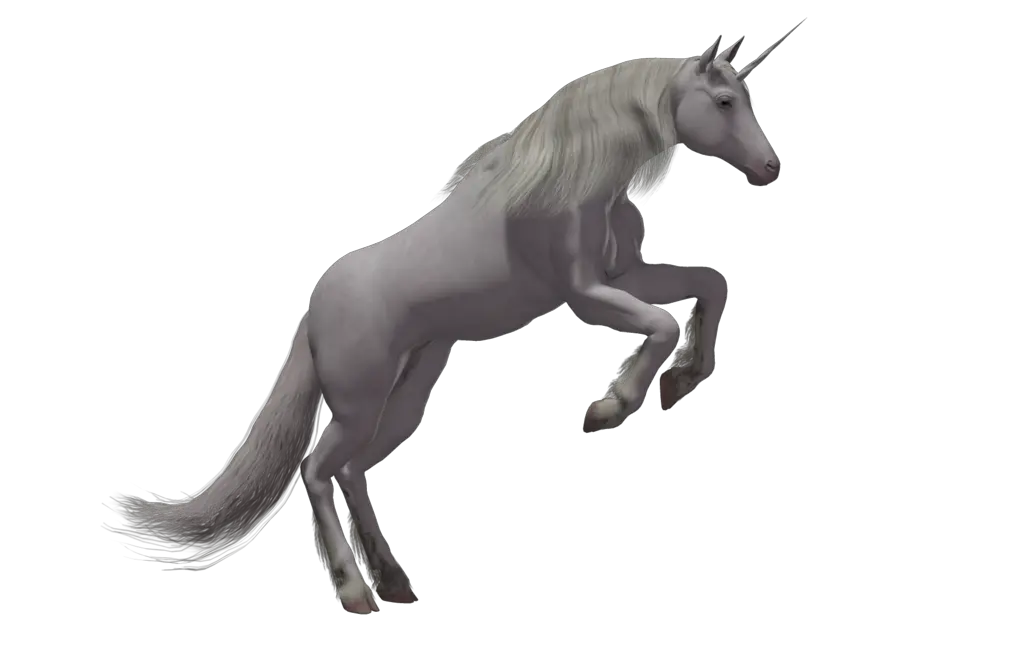 Unicorn PNG