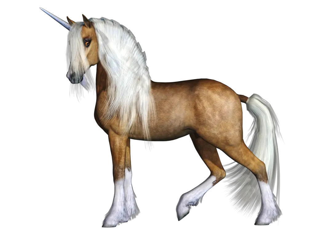 Unicorn PNG