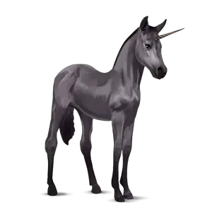 Unicorn PNG