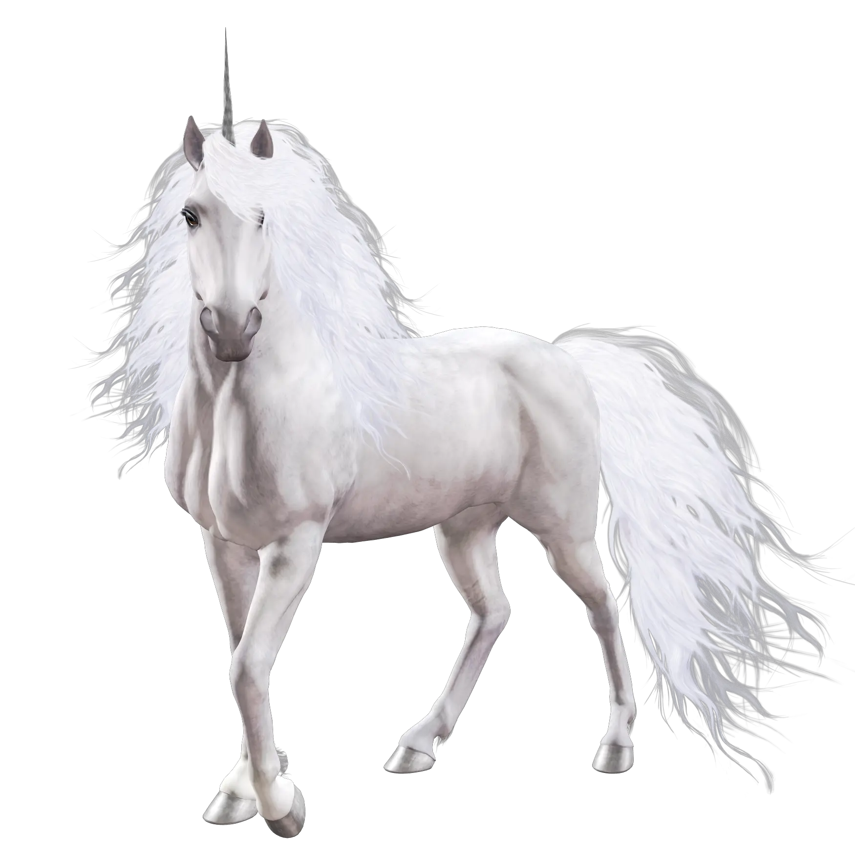 Unicorn PNG