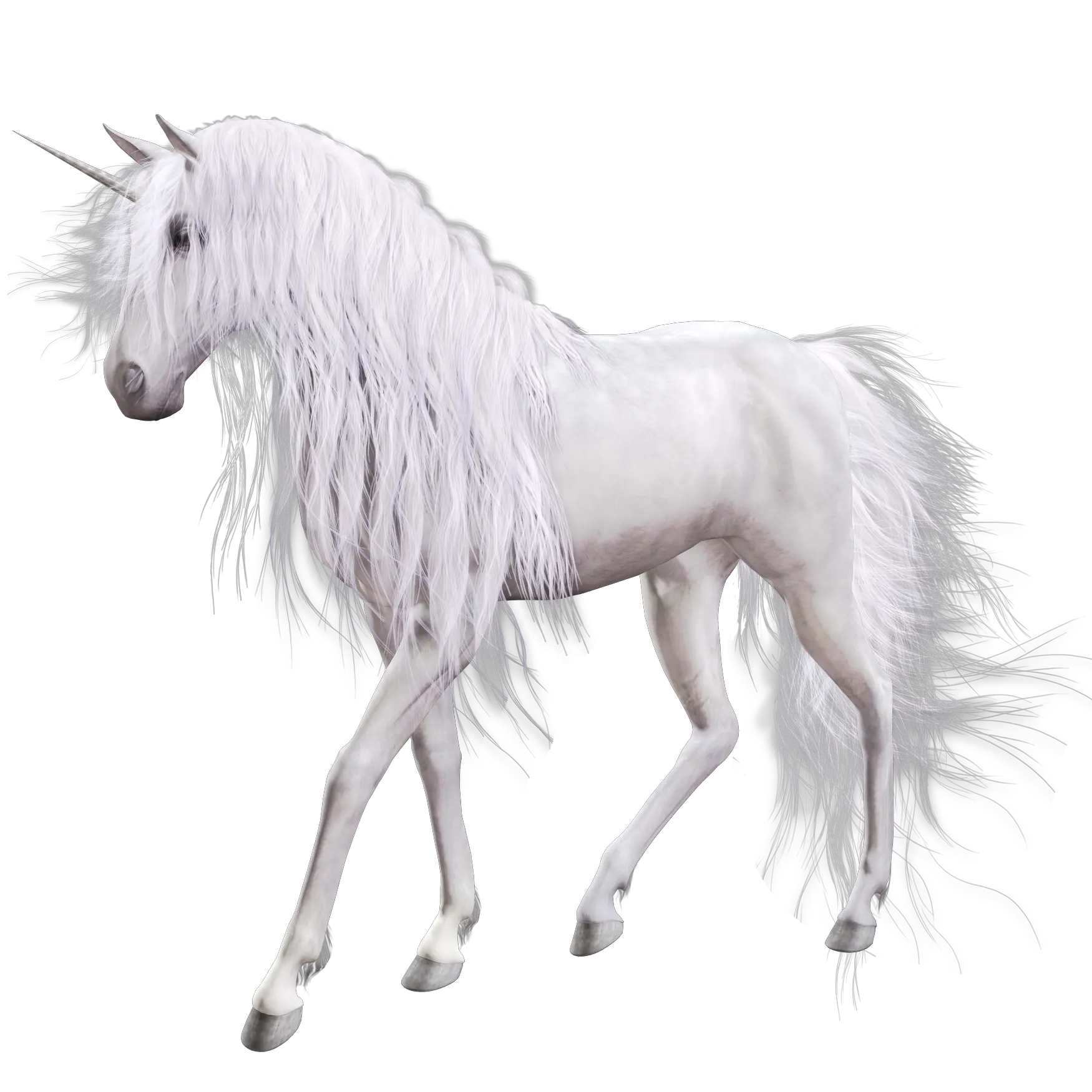 Unicorn PNG