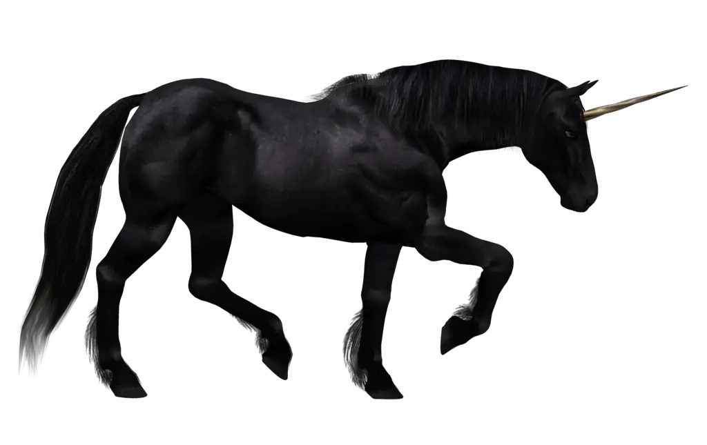 Unicorn PNG