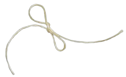 rope PNG