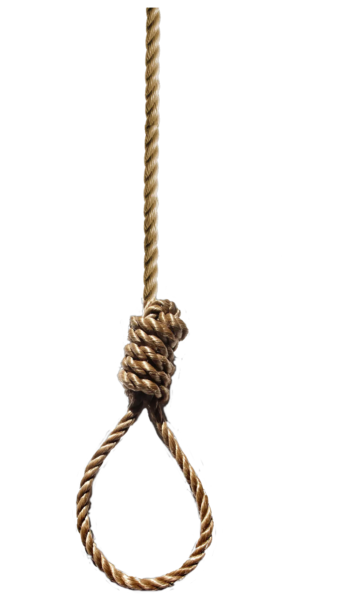 rope loop PNG