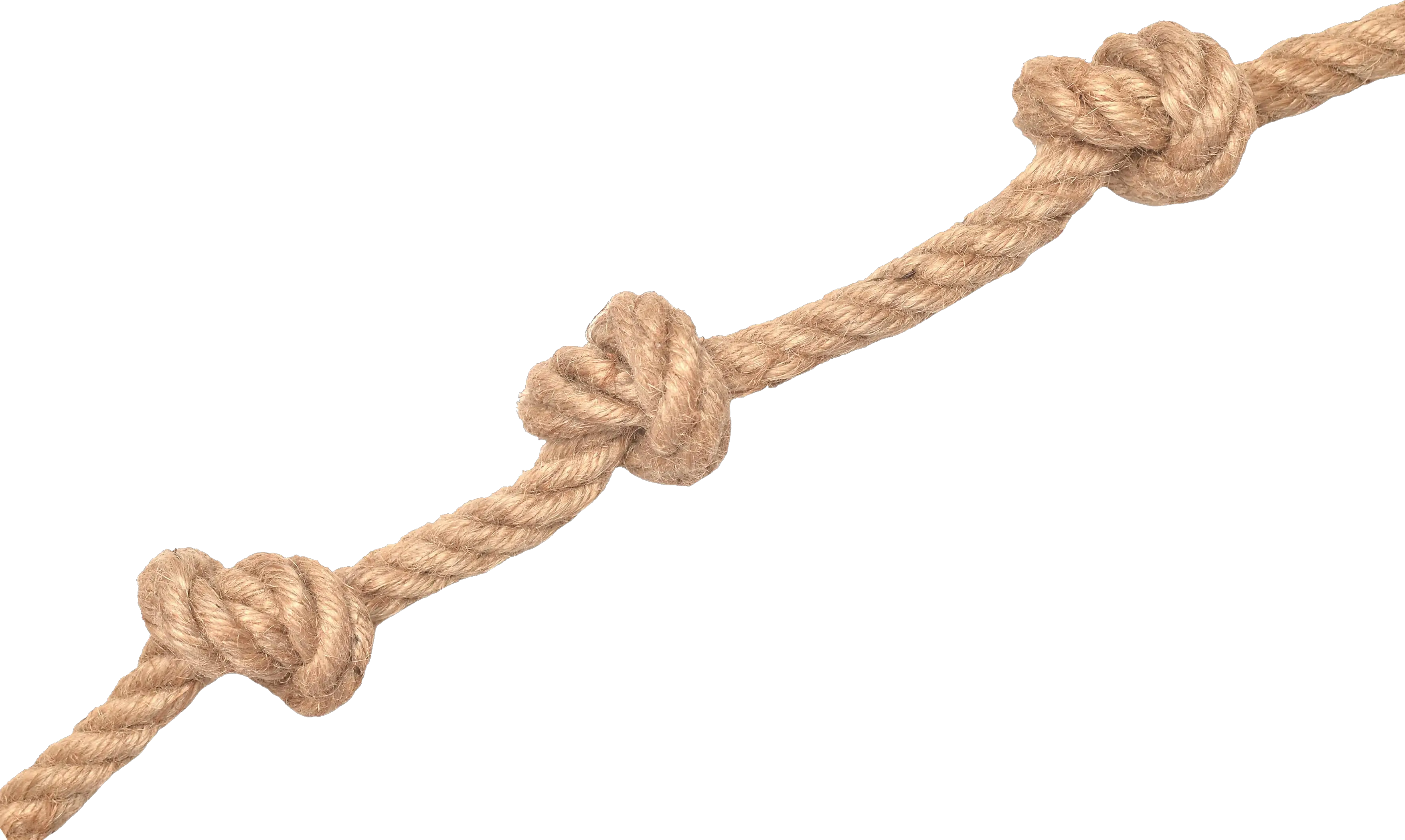 rope knot PNG